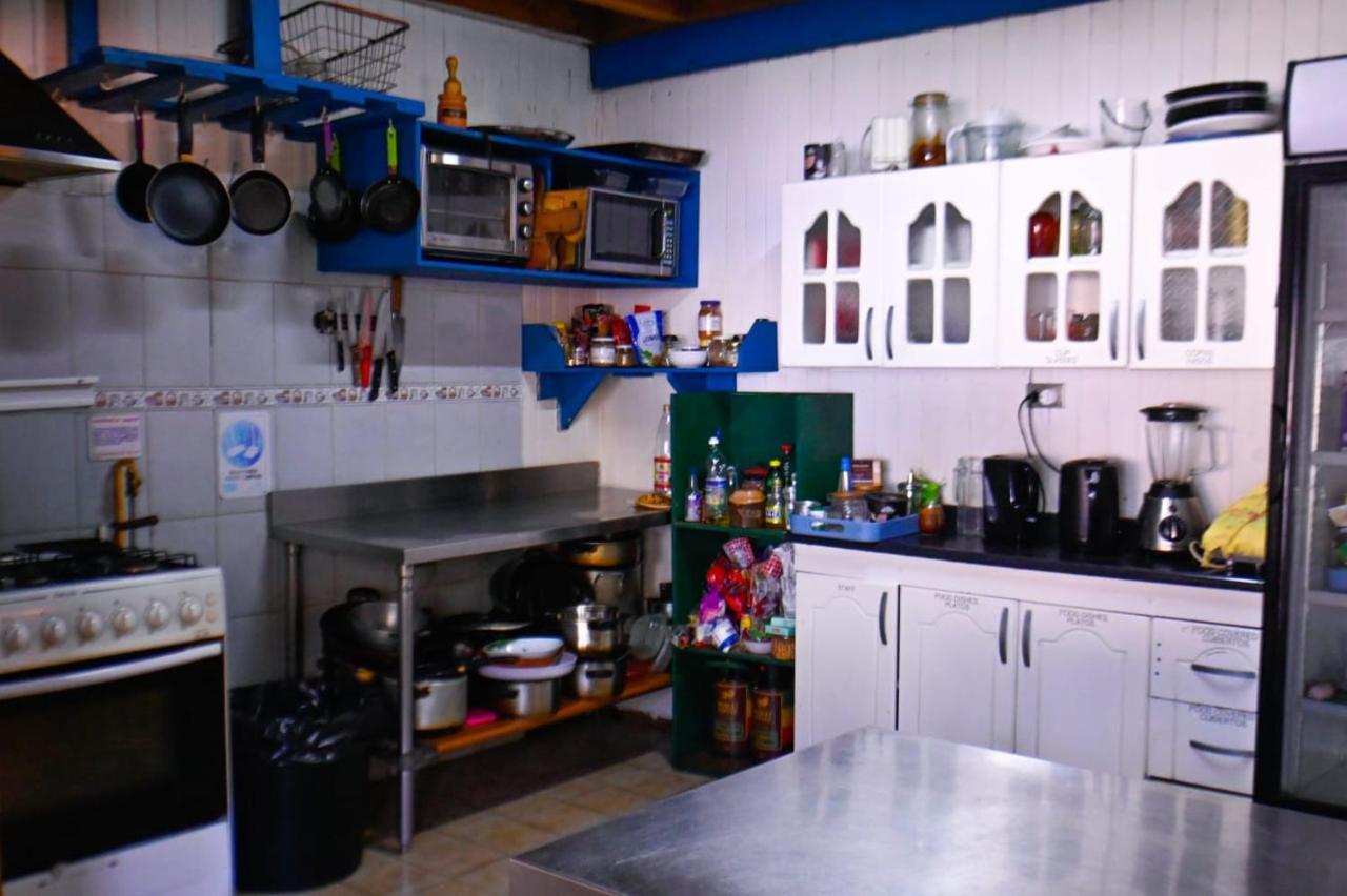 Gecko Hostal Pucón
